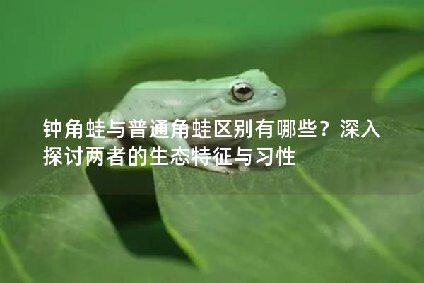 鐘角蛙與普通角蛙區別有哪些？深入探討兩者的生態特征與習性